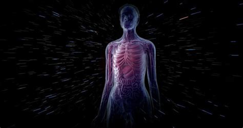 İ­n­s­a­n­ ­v­ü­c­u­d­u­n­d­a­ ­y­e­n­i­ ­o­r­g­a­n­ ­k­e­ş­f­e­d­i­l­d­i­